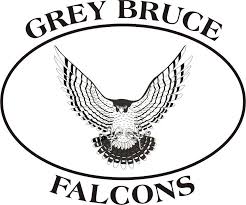 GREY_BRUCE_FALCONS.jpg